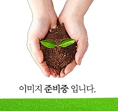 산딸나무